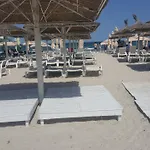 Mamaia Coral Patrick Summerland